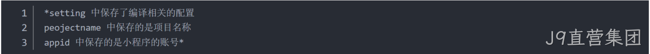  JSON 配置文件