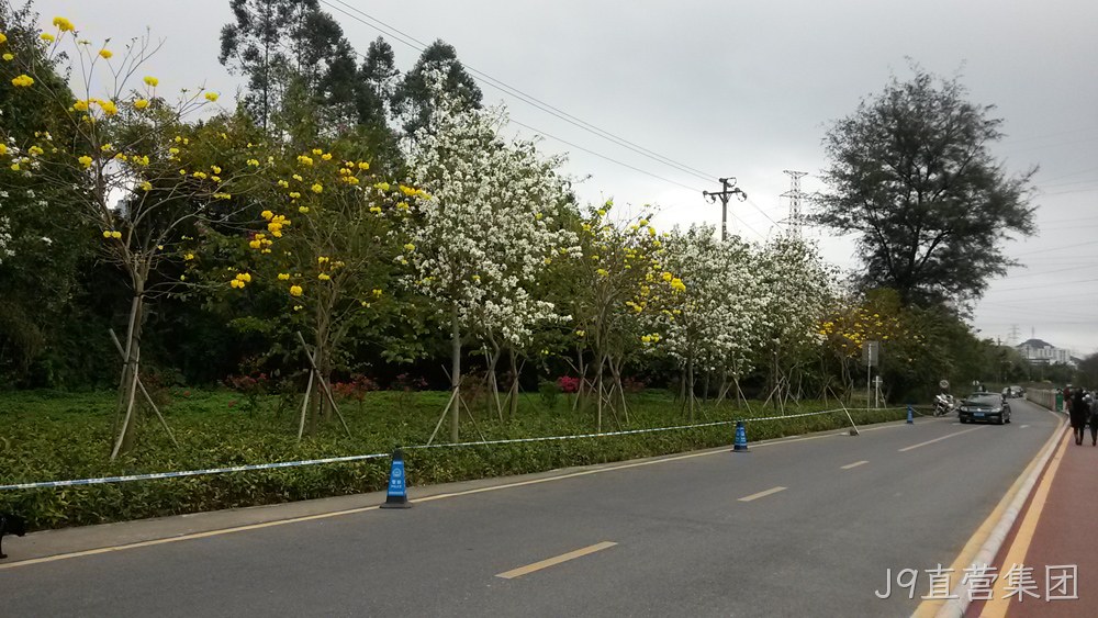 J9直营集团仙湖行